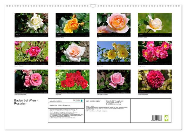 Produktbild: Baden bei Wien - Rosarium (Wandkalender 2026 DIN A2 quer), CALVENDO Monatskalender