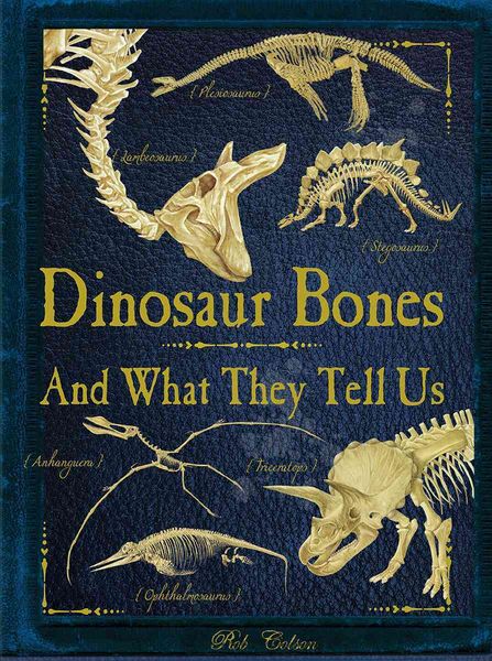 Produktbild: Colson, R: Dinosaur Bones