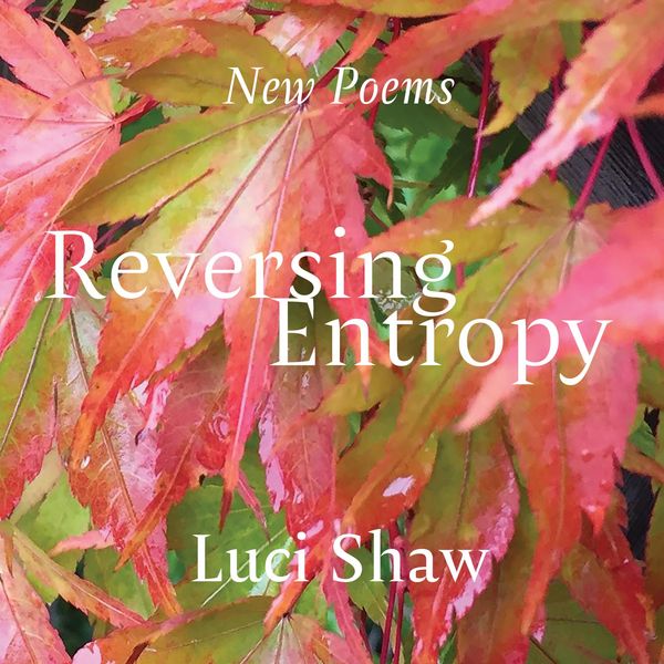 Produktbild: Reversing Entropy