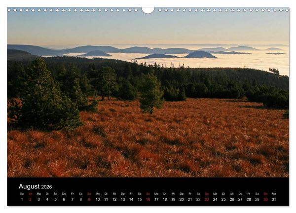 Produktbild: Mein Ortenaukalender 2026 (Wandkalender 2026 DIN A3 quer), CALVENDO Monatskalender