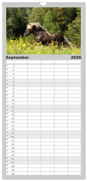 Produktbild: Familienplaner 2026 - Pferde - im Galopp durch's Jahr mit 5 Spalten (Wandkalender, 21 x 45 cm) CALVENDO