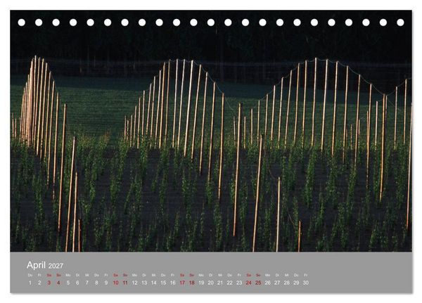 Produktbild: Hallertau (Tischkalender 2027 DIN A5 quer), CALVENDO Monatskalender