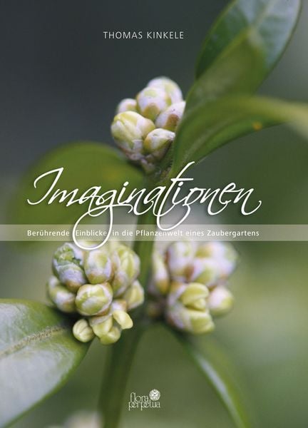Produktbild: Imaginationen