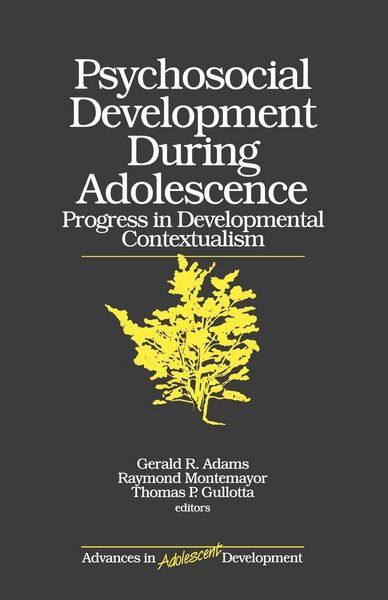 Produktbild: Psychosocial Development During Adolescence
