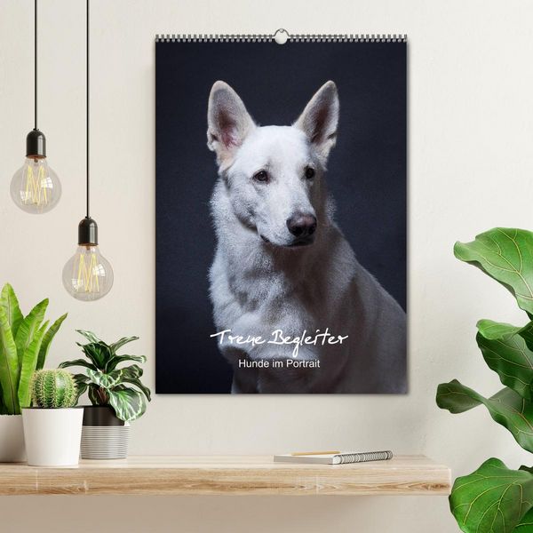 Produktbild: Treue Wegbegleiter, Hunde im Portrait. (Wandkalender 2026 DIN A2 hoch), CALVENDO Monatskalender