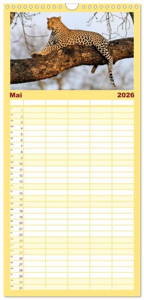 Produktbild: Familienplaner 2026 - S&uuml;dafrika Christian Heeb mit 5 Spalten (Wandkalender, 21 x 45 cm) CALVENDO