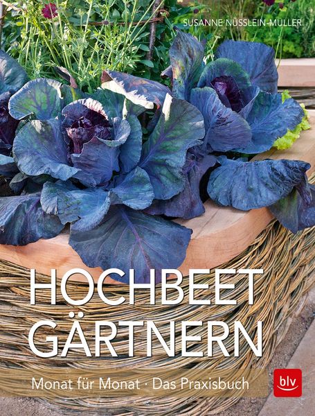 Produktbild: Hochbeet-G&auml;rtnern Monat f&uuml;r Monat