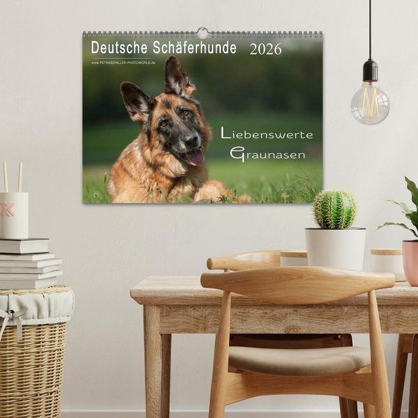 Produktbild: Deutsche Sch&auml;ferhunde - Liebenswerte Graunasen (Wandkalender 2026 DIN A3 quer), CALVENDO Monatskalender