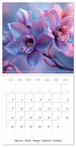 Produktbild: colorful orchid family planner (Wall Calendar 2026 12 &times; 12 Inch) CALVENDO 12 Month Wall Calendar