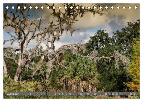 Produktbild: Sunshine State Florida Natur, Tierwelt und Nationalparks (Tischkalender 2027 DIN A5 quer), CALVENDO Monatskalender