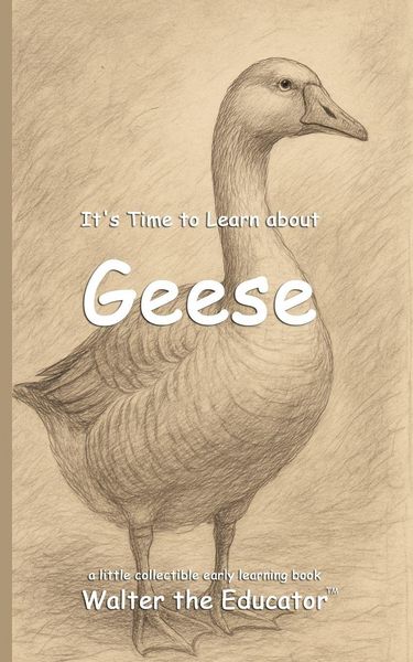 Produktbild: It's Time to Learn about Geese