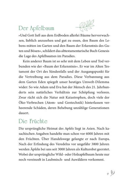 Produktbild: Baumhoroskop der Kelten