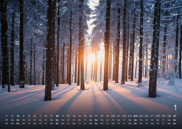 Produktbild: Moments - wundervolle Momentaufnahmen - 2027 - Kalender DIN A2