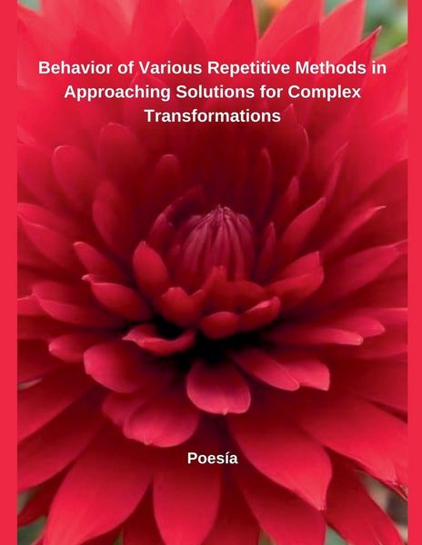 Produktbild: Behavior of Various Repetitive Methods in Approaching Solutions for Complex Transformations