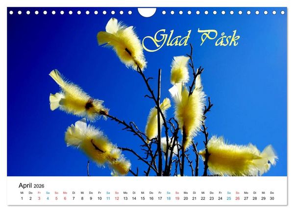 Produktbild: Schweden (Wandkalender 2026 DIN A4 quer), CALVENDO Monatskalender