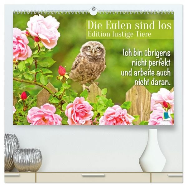 Die Eulen sind los: Edition lustige Tiere (hochwertiger Premium Wandkalender 2026 DIN A2 quer), Kunstdruck in Hochglanz