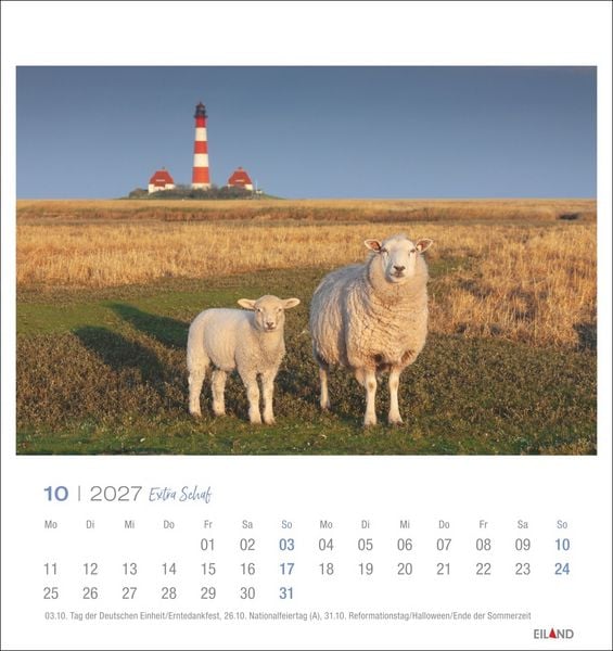 Produktbild: Extra Schaf Postkartenkalender 2027