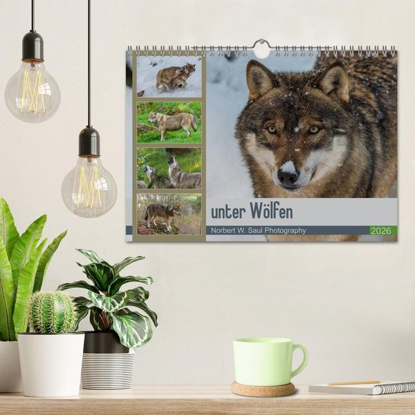 Produktbild: unter W&ouml;lfen (Wandkalender 2026 DIN A4 quer), CALVENDO Monatskalender