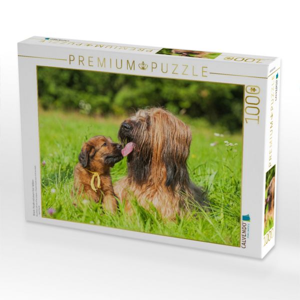 Produktbild: CALVENDO Puzzle Briard- H&uuml;ndin mit einem ihrer Welpen | 1000 Teile Lege-Gr&ouml;&szlig;e 64x48cm Foto-Puzzle f&uuml;r gl&uuml;ckliche Stunden