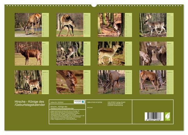 Produktbild: Hirsche - K&ouml;nige des Waldes/Geburtstagskalender (hochwertiger Premium Wandkalender 2026 DIN A2 quer), Kunstdruck in Hochglanz