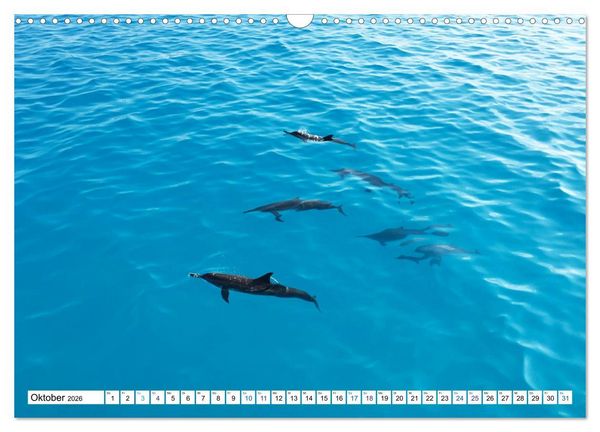 Produktbild: MALEDIVEN Wunderwelt (Wandkalender 2026 DIN A3 quer), CALVENDO Monatskalender