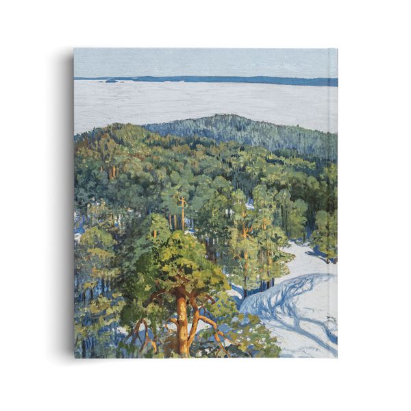 Produktbild: Nordlichter