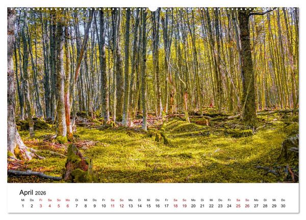 Produktbild: Patagonien, Tierra del Fuego: Am Rand der Welt (hochwertiger Premium Wandkalender 2026 DIN A2 quer), Kunstdruck in Hochglanz