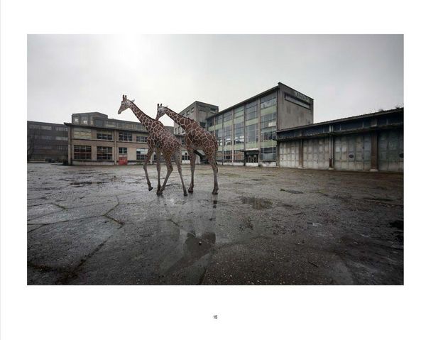 Produktbild: Rensbergen, H: No Man's Land