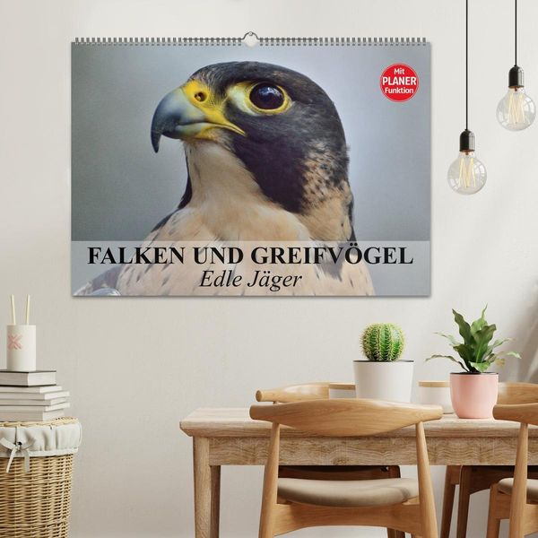 Produktbild: Falken und Greifv&ouml;gel - Edle J&auml;ger (Wandkalender 2026 DIN A2 quer), CALVENDO Monatskalender