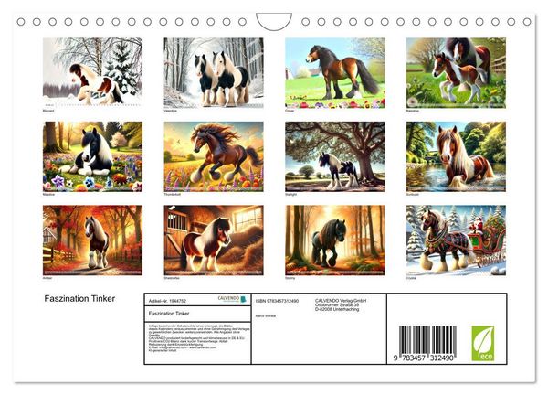Produktbild: Faszination Tinker (Wandkalender 2026 DIN A4 quer), CALVENDO Monatskalender
