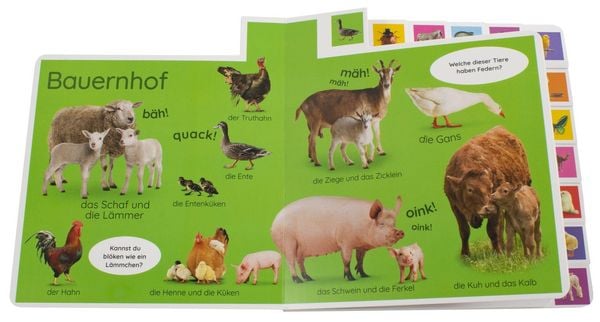 Produktbild: Erstes Lernen. Tiere