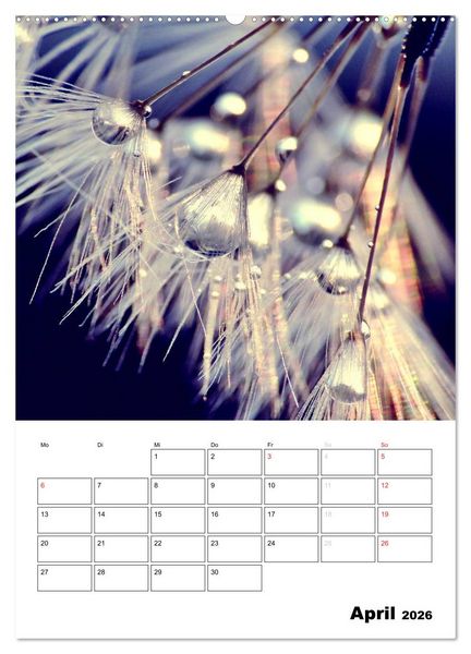 Produktbild: Pusteblumentraum - Dreams of Dandelion (Wandkalender 2026 DIN A2 hoch), CALVENDO Monatskalender