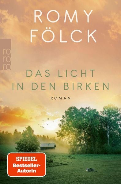 Produktbild: Das Licht in den Birken