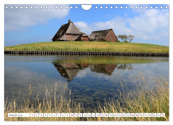 Produktbild: Sommertage auf Hallig Hooge (Wandkalender 2026 DIN A4 quer), CALVENDO Monatskalender