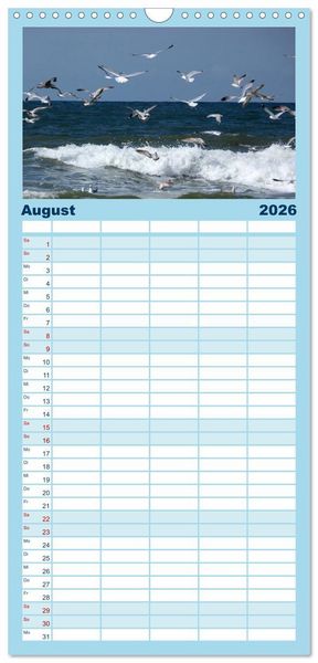 Produktbild: Familienplaner 2026 - Strandwanderungen auf Texel mit 5 Spalten (Wandkalender, 21 x 45 cm) CALVENDO