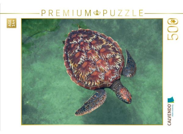 CALVENDO Puzzle Große Schildkröte | 500 Teile Lege-Größe 48 × 36 cm Foto-Puzzle für Erwachsene