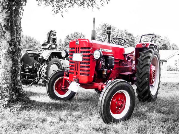 Produktbild: CALVENDO Puzzle MC Cormick | 1000 Teile Lege-Gr&ouml;&szlig;e 64x48cm Foto-Puzzle f&uuml;r gl&uuml;ckliche Stunden