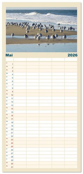 Produktbild: Familienplaner 2026 - Am Strand von Juist mit 5 Spalten (Wandkalender, 21 x 45 cm) CALVENDO