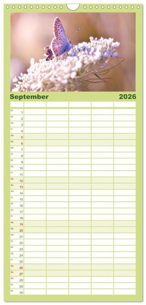 Produktbild: Familienplaner 2026 - Schmetterlinge. Schimmernde Zauberwesen mit 5 Spalten (Wandkalender, 21 x 45 cm) CALVENDO