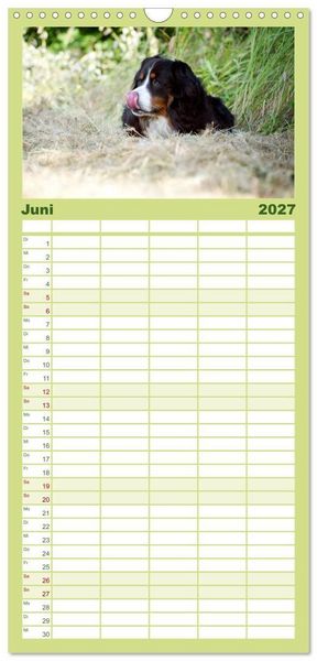 Produktbild: Familienplaner 2027 - Berner Sennenhunde mit 5 Spalten (Wandkalender, 21 x 45 cm) CALVENDO