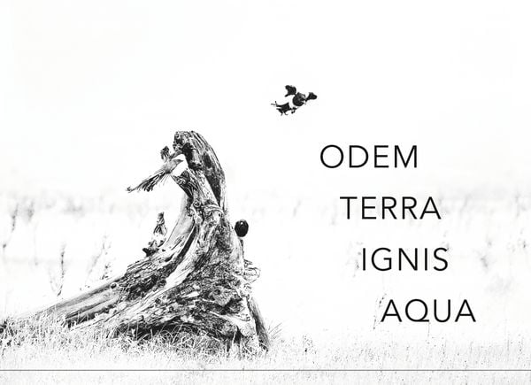 Produktbild: Odem Terra Ignis Aqua