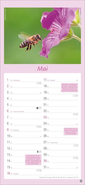 Produktbild: Gartenplaner 2027