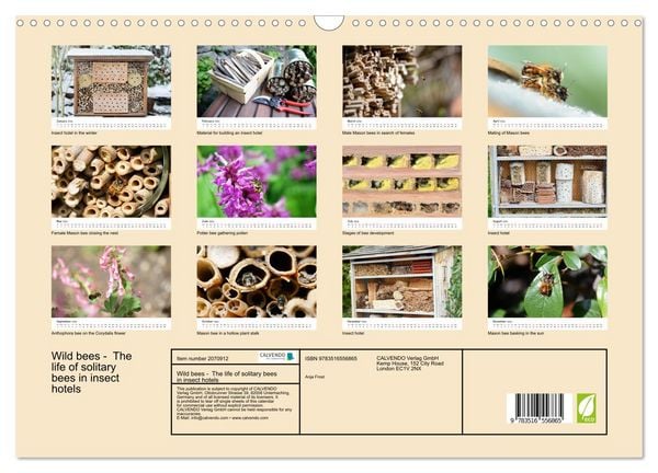 Produktbild: Wild bees - The life of solitary bees in insect hotels (Wall Calendar 2026 DIN A3 landscape), CALVENDO 12 Month Wall Calendar