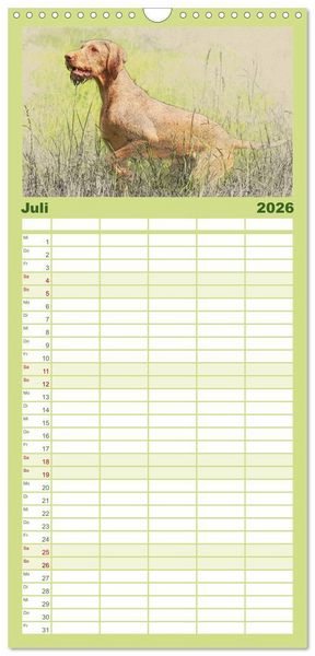 Produktbild: Familienplaner 2026 - Magyar Vizsla 2026 mit 5 Spalten (Wandkalender, 21 x 45 cm) CALVENDO