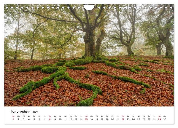 Produktbild: Fotogenes Nordhessen (Wandkalender 2026 DIN A4 quer), CALVENDO Monatskalender