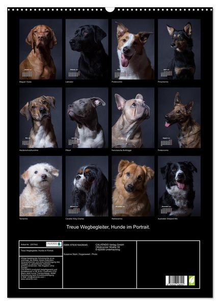 Produktbild: Treue Wegbegleiter, Hunde im Portrait. (Wandkalender 2026 DIN A2 hoch), CALVENDO Monatskalender