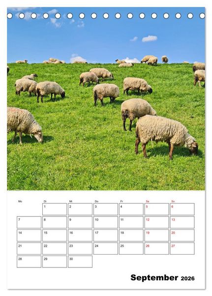 Produktbild: Fr&uuml;hling im Alten Land - Baumbl&uuml;tenzeit (Tischkalender 2026 DIN A5 hoch), CALVENDO Monatskalender