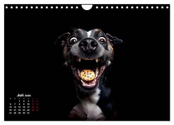 Produktbild: Leckerchen! (Wandkalender 2026 DIN A4 quer), CALVENDO Monatskalender