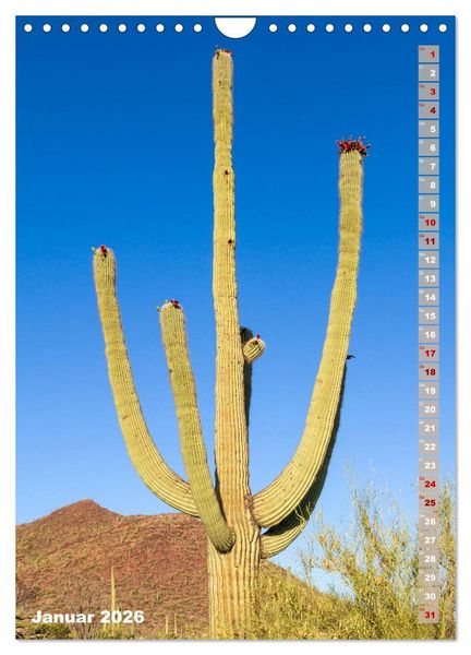 Produktbild: SAGUARO NATIONAL PARK W&uuml;stenimpressionen aus Arizona (Wandkalender 2026 DIN A4 hoch), CALVENDO Monatskalender