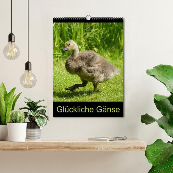 Produktbild: Gl&uuml;ckliche G&auml;nse (Wandkalender 2026 DIN A3 hoch), CALVENDO Monatskalender